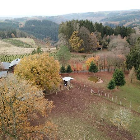 Le Brocard Des Fagnes - 16 Pers Malmedy Villa Exterior photo